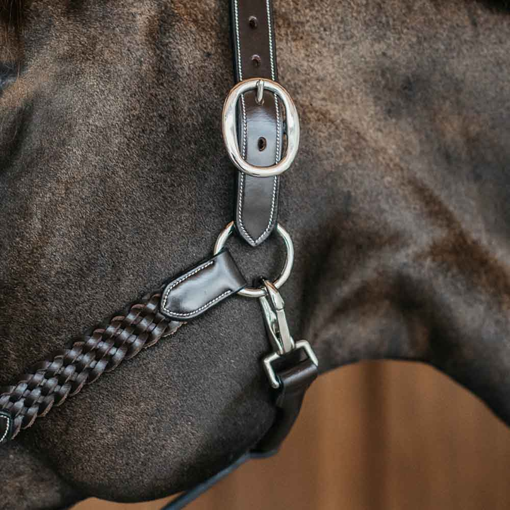 Lederhalfter Plaited WBD Braun