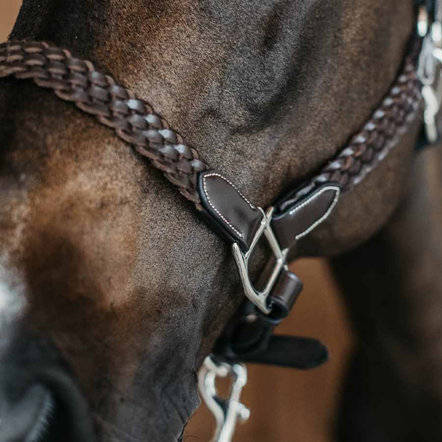 Lederhalfter Plaited WBD Braun