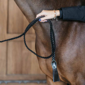 Lederhalfter Plaited WBD Schwarz Lederhalfter Plaited WBD Schwarz