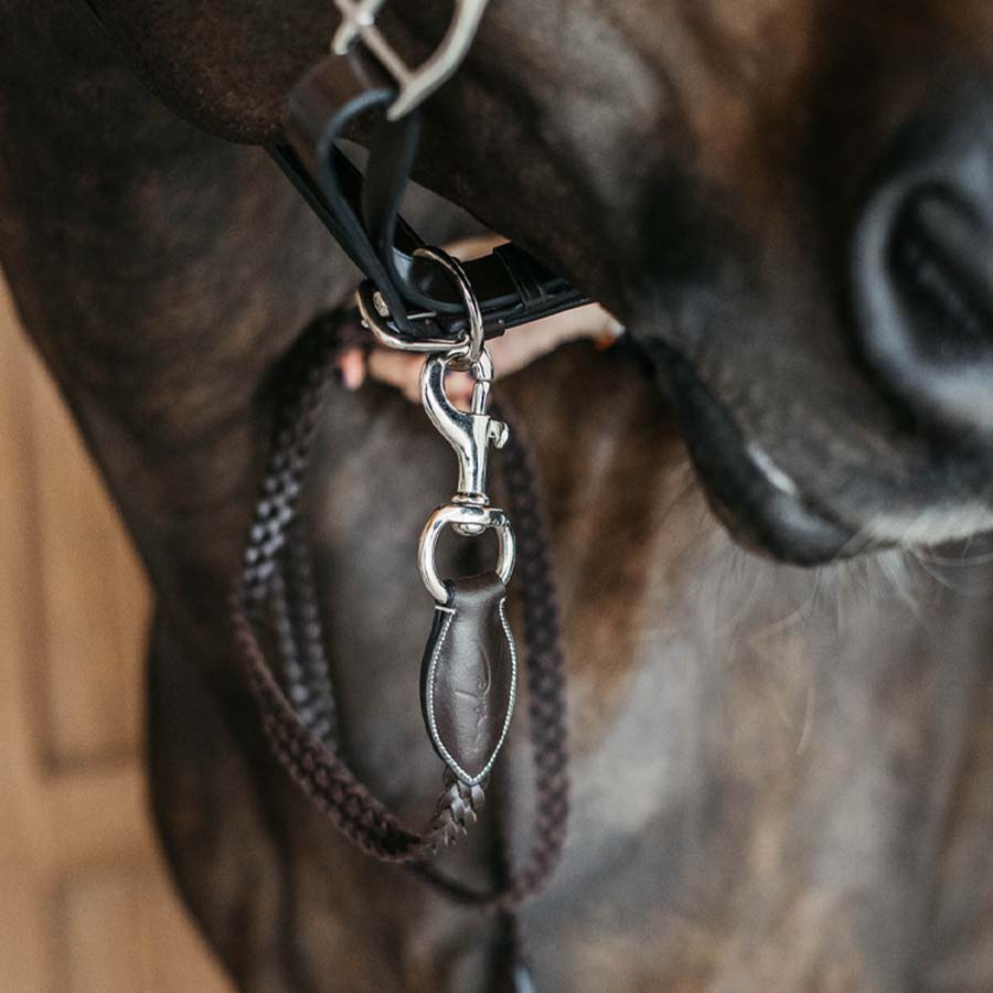 Lederhalfter Plaited WBD Braun