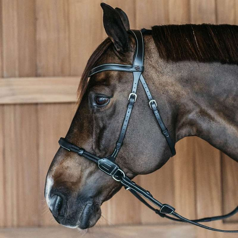 Gebisslose Trense Working Collection Schwarz