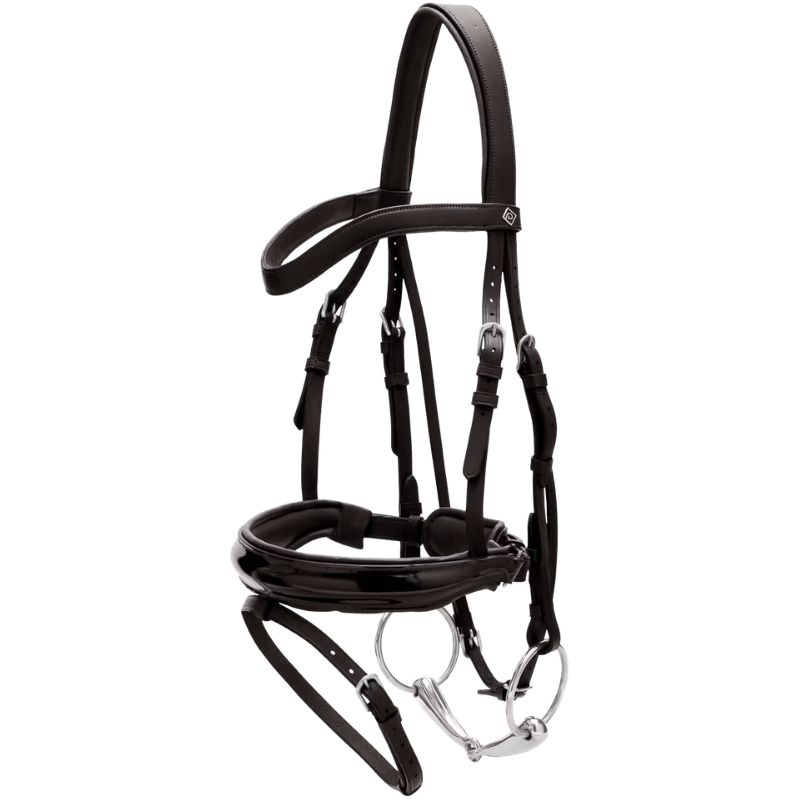 Dressurtrense Lack WC Schwarz