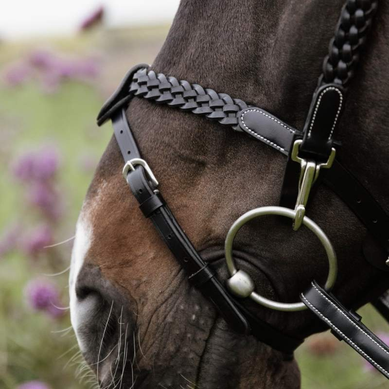 Trense Plaited Training Working Collection Schwarz